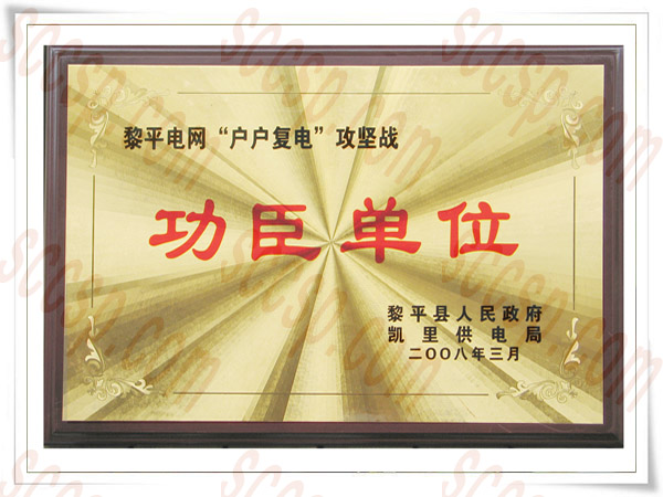 热烈祝贺四川南宫NG28电力建设有限公司再获先进整体声誉称呼