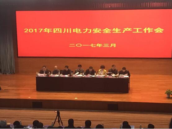 公司总司理陈云荣获2016年度四川电力清静生产先进小我私家