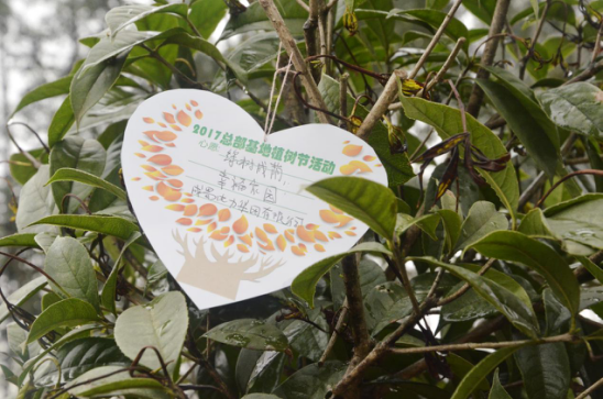 大地回春 植树造林 南宫NG28电力集团起劲加入园区植树活动