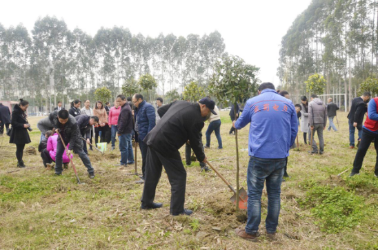 大地回春 植树造林 南宫NG28电力集团起劲加入园区植树活动