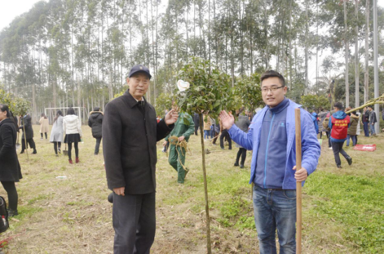 大地回春 植树造林 南宫NG28电力集团起劲加入园区植树活动