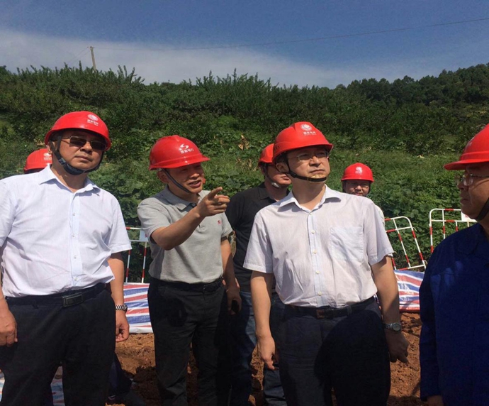 国网四川省电力公司副总司理刘勇到南宫NG28电力500kV桃资线施工现场检查事情