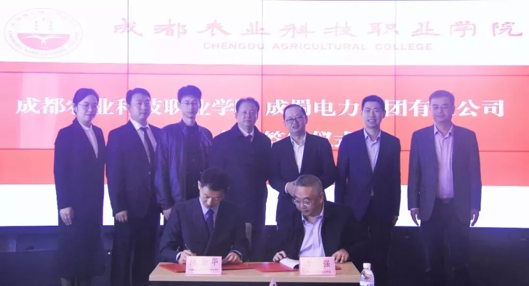 来自南宫NG28电力集团的2019答卷