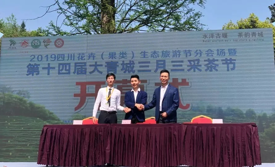 来自南宫NG28电力集团的2019答卷