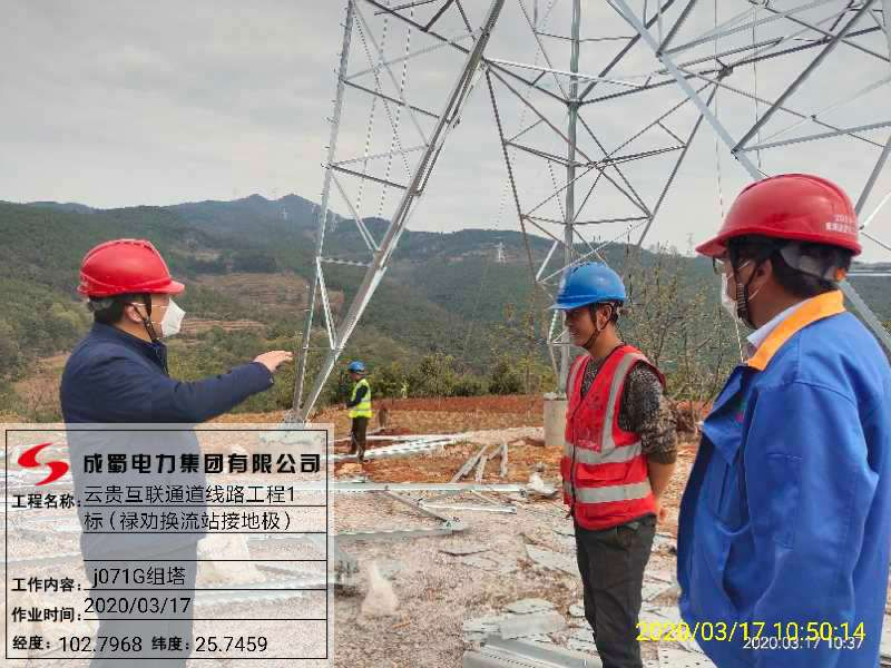 科学防控 清静有序 ——南宫NG28电力集团多个项目稳步推进复工复产