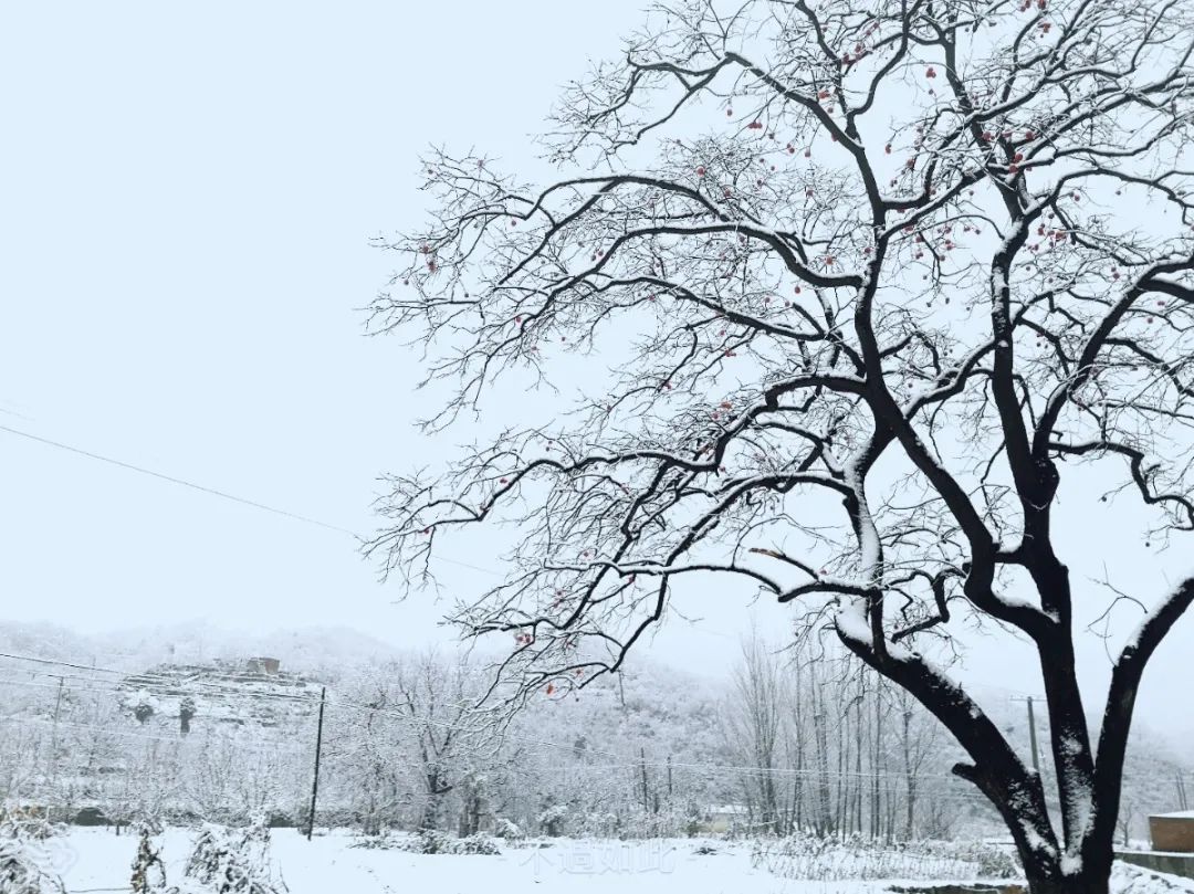 战风雪，斗严寒！南宫NG28电力冒雪奋进促工期