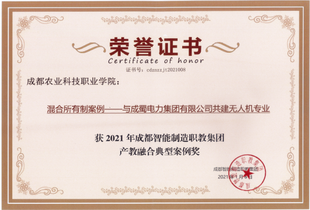 南宫NG28电力集团产教融合项目荣获2021年成都智能制造职教集团典范案例奖