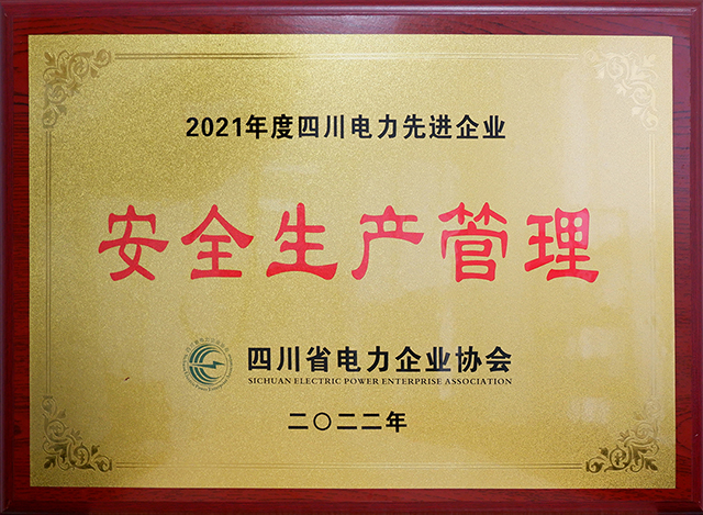 南宫NG28电力集团荣获四川省电力企业协会两项声誉